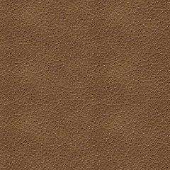 Bolsena Sofa Sleeper - Unclaimed Freight North (Aitkin, MN)