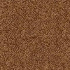 Carianna Sofa Sleeper - Unclaimed Freight North (Aitkin, MN)