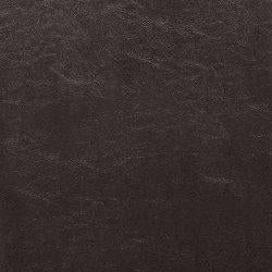 Kimonte Dining Chair - Unclaimed Freight North (Aitkin, MN)